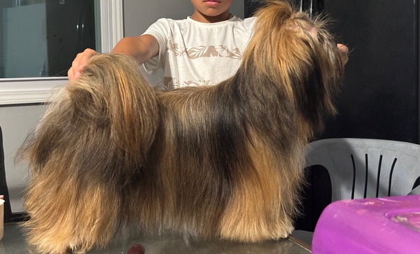 Kahlua