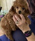 LilliesGirl