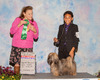 GCH Belle