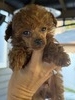 Cherry’s lil boy3